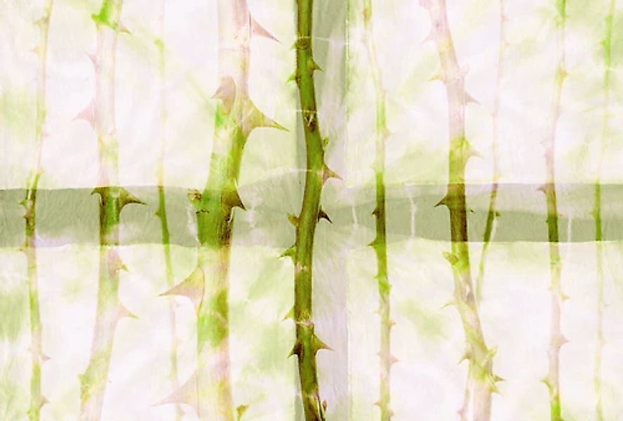 Architects Paper Fototapete »Atelier 47 Thorn Art 2« floral glatt Vlies, Wa günstig online kaufen