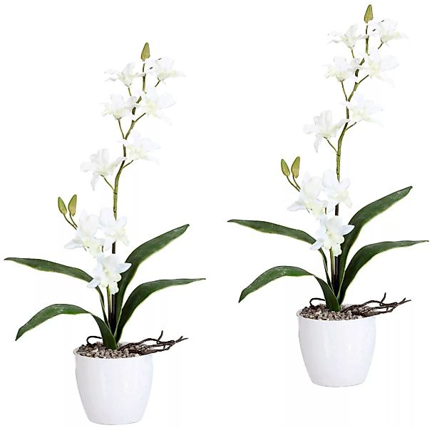 Creativ green Kunstpflanze "Orchidee Dendrobie", im Keramiktopf günstig online kaufen