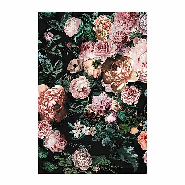 Komar Poster Charming Wild Rosen B/L: ca. 50x70 cm günstig online kaufen