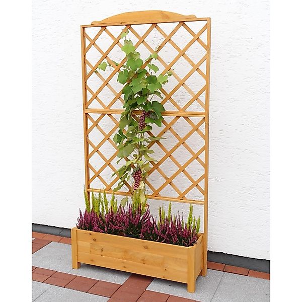 promadino Rankhilfe, Rankkasten, BxTxH: 167x53x219 cm günstig online kaufen