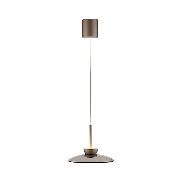 Paul Neuhaus LED Pendelleuchte LED Pendelleuchte günstig online kaufen