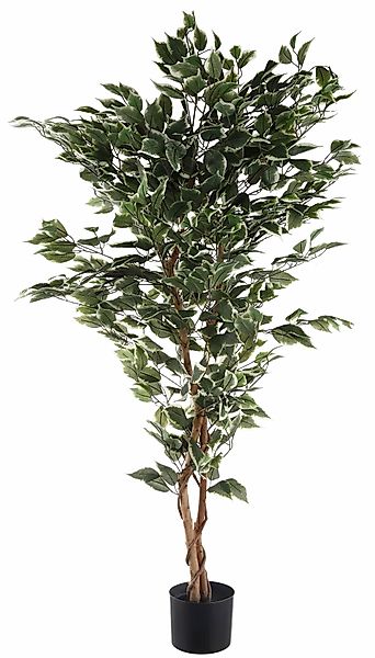 Kunstpflanze Ficus Benjamini Ficus Benjamini, Creativ günstig online kaufen