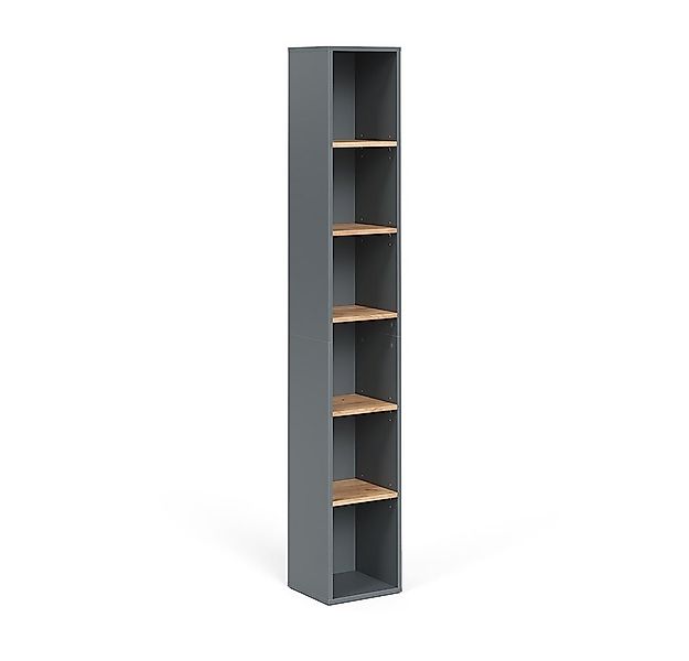 Vicco Hochschrank Viktor, Anthrazit/Goldkraft Eiche, 30 x 188.6 cm (1-St) günstig online kaufen