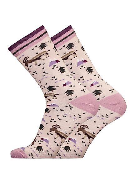 UphillSport Socken IBEX 2er Pack (2-Paar) günstig online kaufen