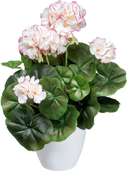 Kunstblume Geranienbusch Mohn, Creativ green, Höhe günstig online kaufen