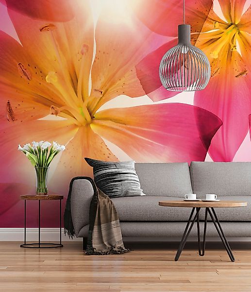 Komar Fototapete »Summer Sun - Größe 368 x 254 cm«, bedruckt, Wohnzimmer, S günstig online kaufen