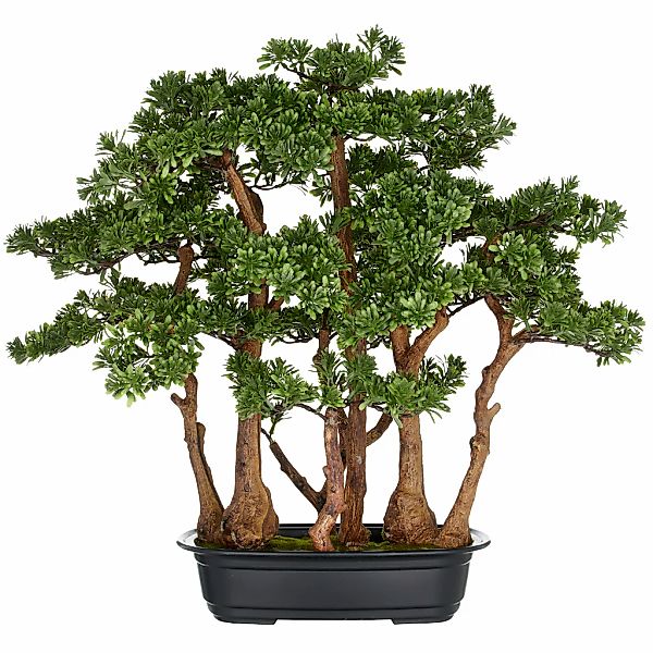 Creativ green Kunstbonsai "Bonsai Teeblatt", mit detailgetreuer Gestaltung günstig online kaufen