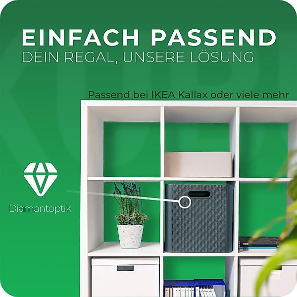Novaliv Aufbewahrungsbox - (3 St), Aufbewahrungsbox günstig online kaufen