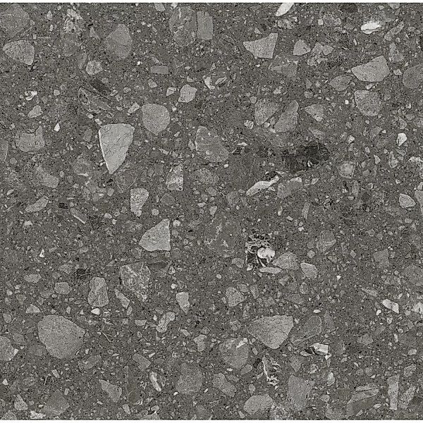 Bodenfliese Feinsteinzeug Anthrazit 60 cm x 60 cm günstig online kaufen