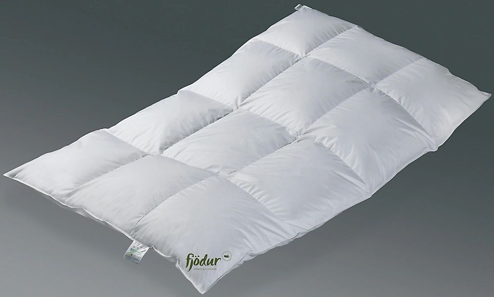 fjödur Federbettdecke "Fabiennes Supreme, Bettdecken für Sommer oder Winter günstig online kaufen