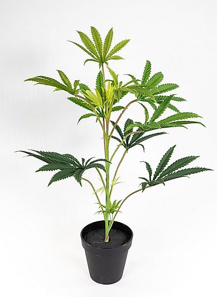 Kunstpflanze Hanfpflanze / Cannabispflanze 50cm im Topf DP künstlicher Cann günstig online kaufen