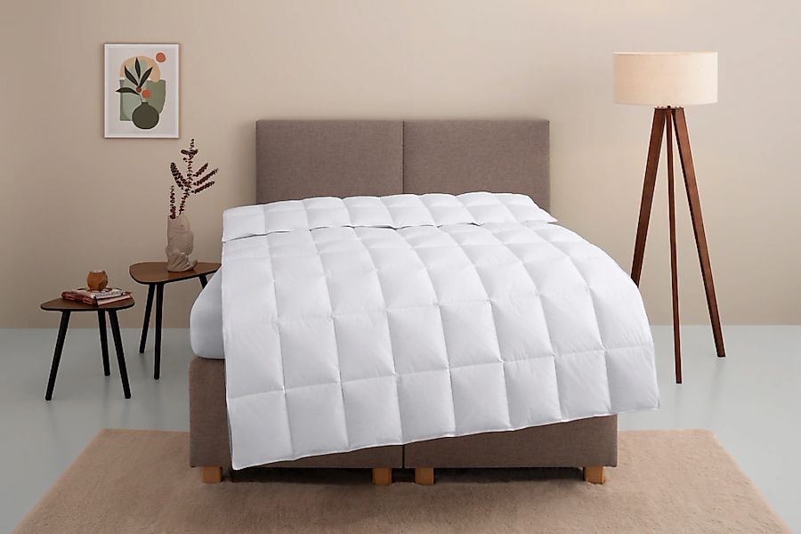 OTTO home Daunenbettdecke "Marseilles Bettdecke 135x200 cm und 155x220 cm" günstig online kaufen