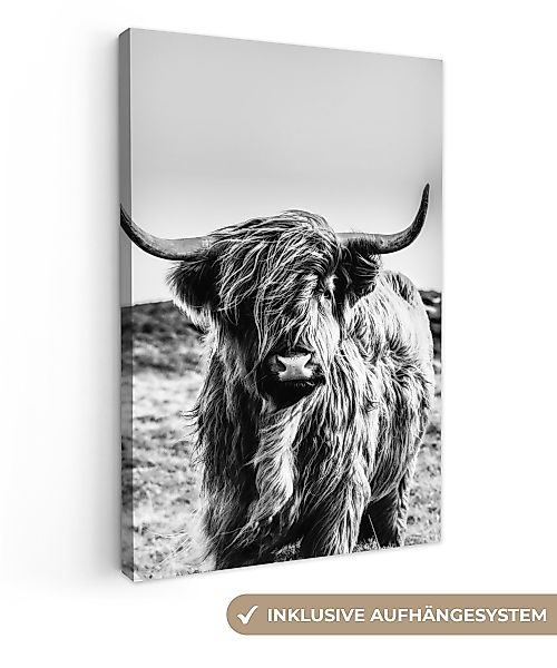 OneMillionCanvasses® Leinwandbild Scottish Highlander - Schwarz günstig online kaufen