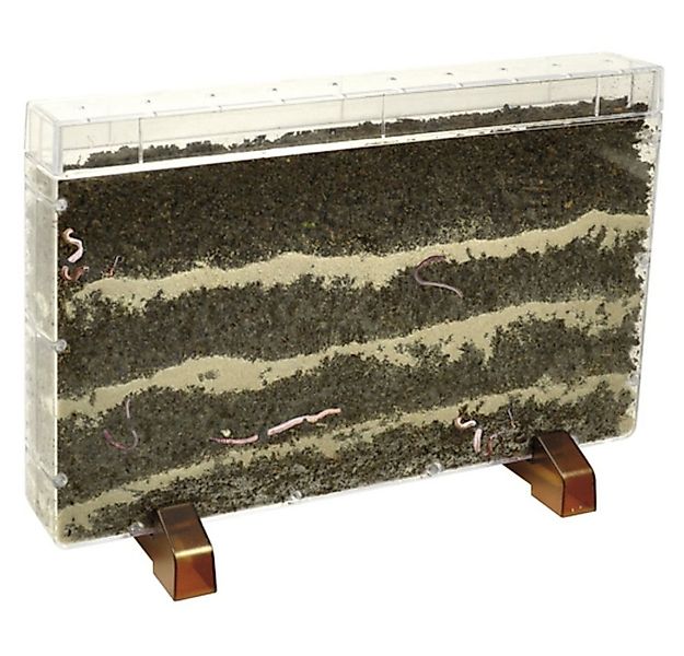 EDUPLAY Spielzeug-Gartenset Wurzelhaus / Wurmhaus 30 x 19 x 4 cm günstig online kaufen