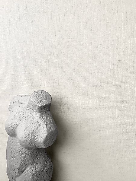 Newroom Vliestapete, Beige Tapete Uni Einfarbig günstig online kaufen