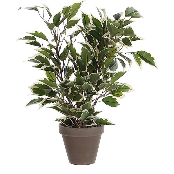 Kunstpflanze Mica Kunstpflanze Ficus Natasja grün bunt im Topf, Mica Decora günstig online kaufen