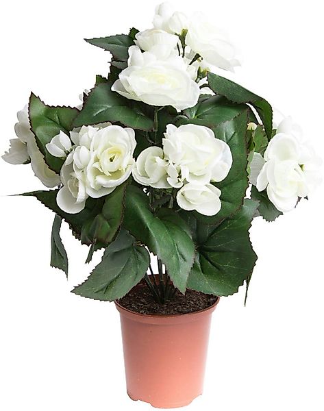 Kunstblume Begonie im Topf Begonie, Botanic-Haus, günstig online kaufen