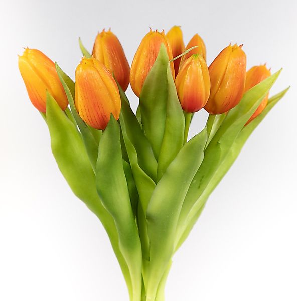 Kunstblume Tulpenbund Nature Real Touch 32x26cm mit 10 Blüten LM künstliche günstig online kaufen