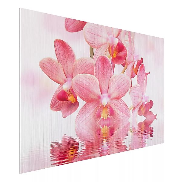 Alu-Dibond Bild Blumen - Querformat 3:2 Rosa Orchideen auf Wasser günstig online kaufen