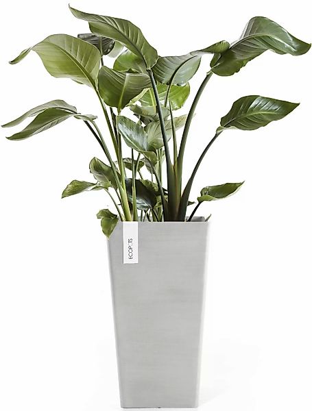 ECOPOTS Blumentopf "Rotterdam halbhoch 56 Weißgrau", für innen und außen: f günstig online kaufen