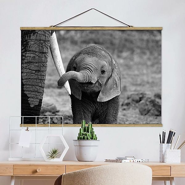 Stoffbild Tiere mit Posterleisten - Querformat Elefantenbaby günstig online kaufen