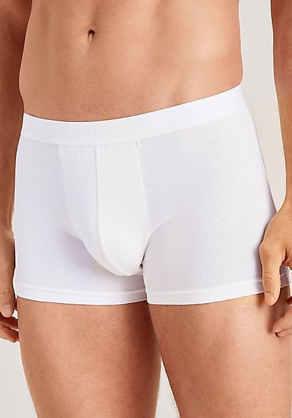 CALIDA Boxershorts Evolution mit Logoschriftzug und günstig online kaufen