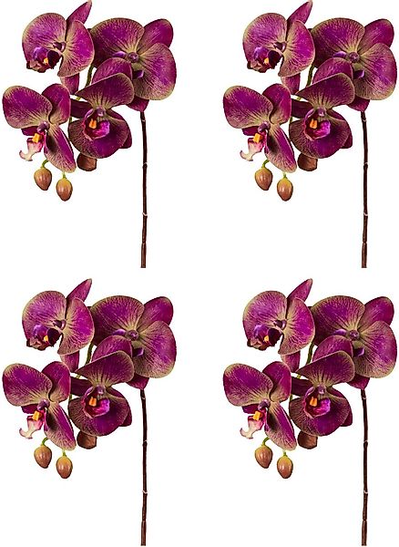 Kunstorchidee Orchidee Phalaenopsis Orchidee, Creativ green, günstig online kaufen