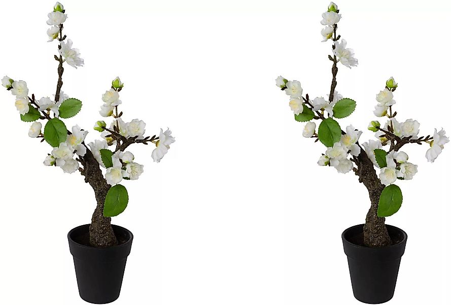 Creativ green Kunstblume "Kirschblütenbonsai" günstig online kaufen