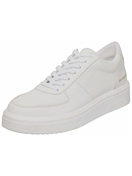 STEVE MADDEN Sneaker "STEVE MADDEN Sneaker Leder" günstig online kaufen