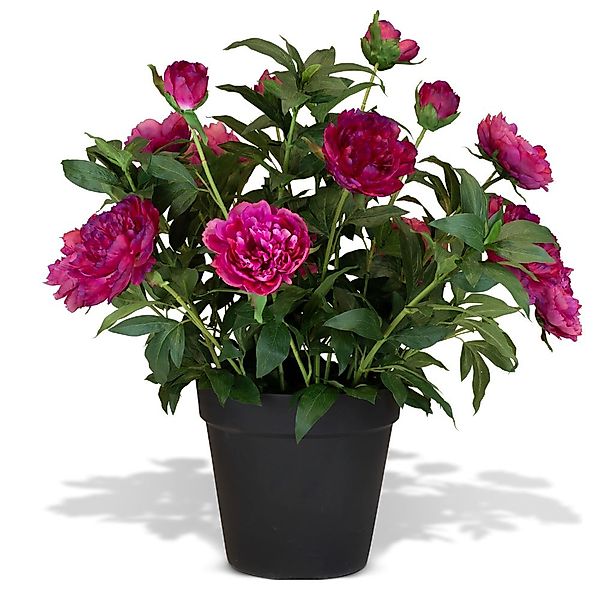 Künstliche Paeonia - Pfingstrosen Höhe 76 cm pink günstig online kaufen