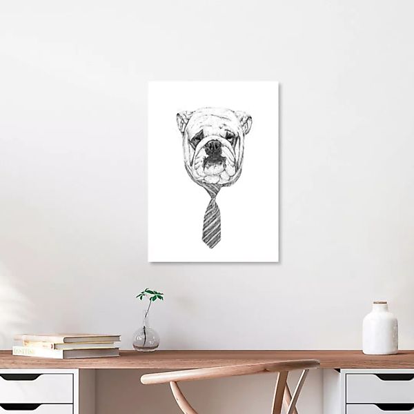 Poster / Leinwandbild - Cooldog günstig online kaufen