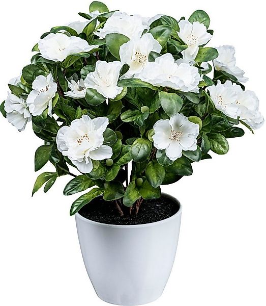Kunstblume Azaleenbusch Azalee, Creativ green, Höhe 32 cm günstig online kaufen