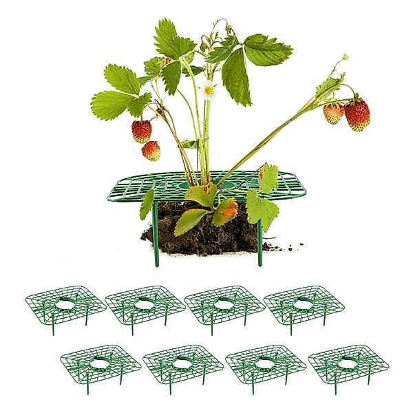SEEZSSA Blumenständer 8x Erdbeerstützen für Erdbeeren günstig online kaufen