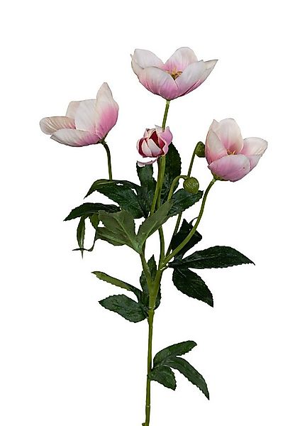 Kunstblume Christrose 62cm PM Dekoblumen künstliche Christrose Blumen Helle günstig online kaufen