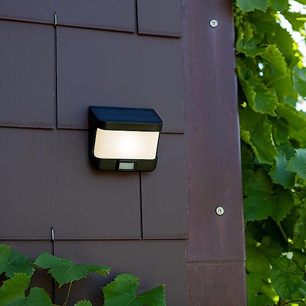 LED Solar Wandleuchte Try in Anthrazit 8W 500lm IP54 mit Bewegungsmelder günstig online kaufen