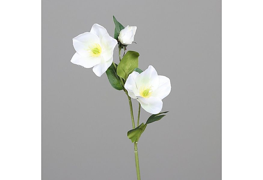 Kunstblume Christrosenzweig 35cm DP künstliche Christrose Schneerose Blumen günstig online kaufen