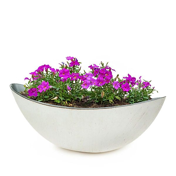 matches21 HOME & HOBBY Blumentopf Große günstig online kaufen