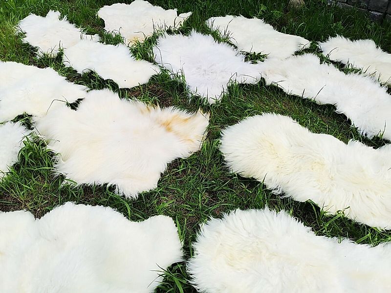 Provellus Fellteppich Hell Öko Schaffell Lammfell Naturfell Weich Bis 150cm günstig online kaufen