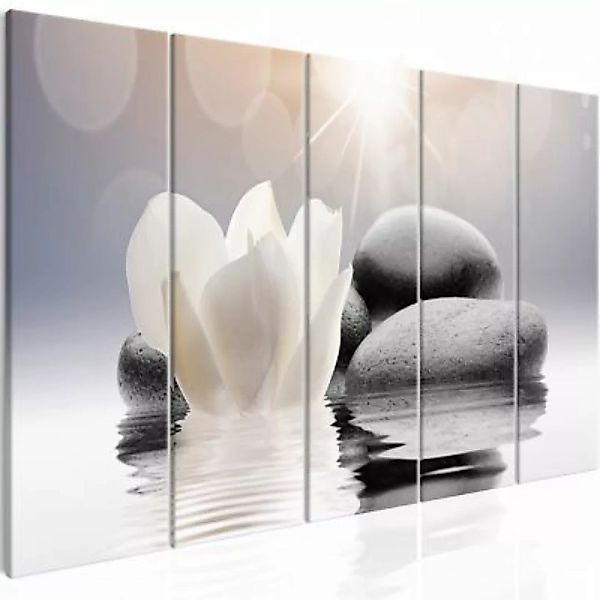 artgeist Wandbild Pebbles in Water (5 Parts) Narrow grau/beige Gr. 200 x 80 günstig online kaufen