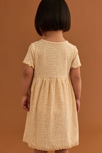 Next Jerseykleid Kurzärmeliges, geripptes Jersey-Kleid (1-tlg) günstig online kaufen