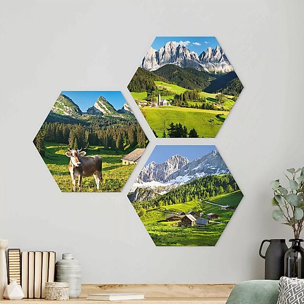 3-teiliges Hexagon-Alu-Dibond Bild Almwiesen günstig online kaufen