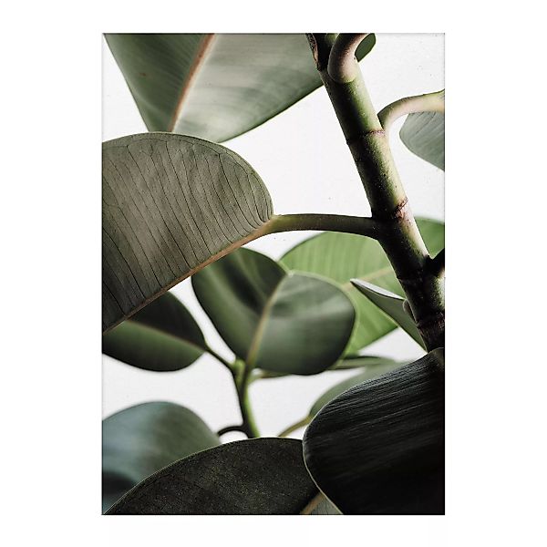 Paper Collective - Green Home 03 Kunstdruck 50x70cm - grün, weiß, grau, bra günstig online kaufen