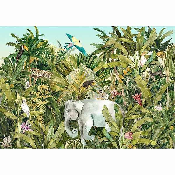 Komar Vliesfototapete Jungle Expedition 400 cm x 280 cm günstig online kaufen