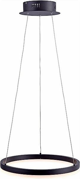 Paul Neuhaus Pendelleuchte TITUS, Dimmfunktion, Memoryfunktion, LED fest in günstig online kaufen