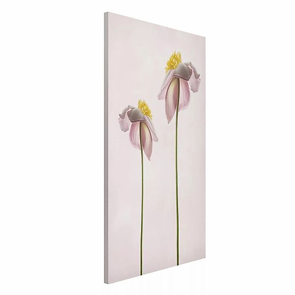 Magnettafel - Hochformat 3:4 Rosa Anemonenblüten günstig online kaufen