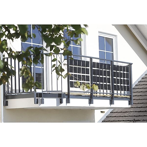 Dieda Linus Glasscheibe Füllung Solarzelle Aluminium 100 cm x 100 cm Anthra günstig online kaufen