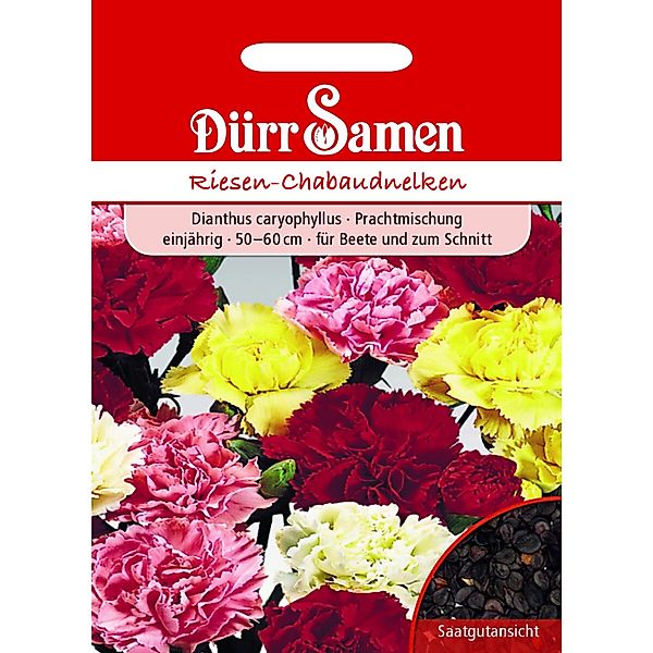 Dürr Samen Gartennelke Prachtmischung Chabaud Einjährig Saatgut günstig online kaufen