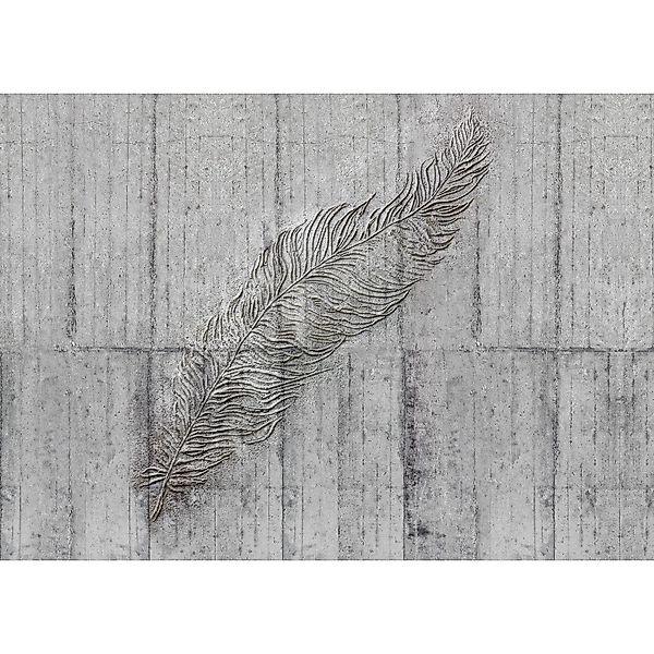 Komar Fototapete Concrete Feather Grau 350 x 250 cm 611642 günstig online kaufen