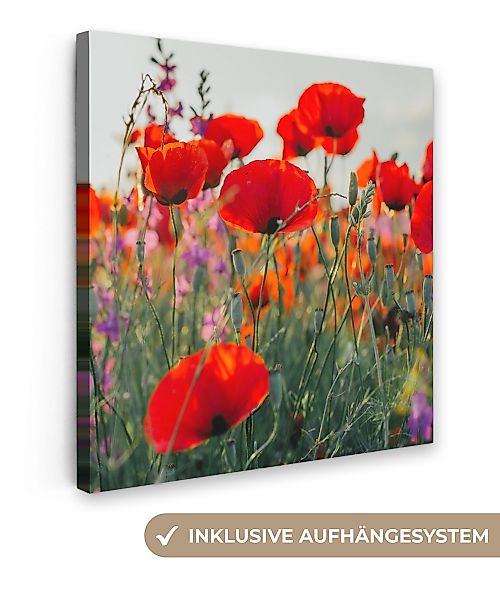 OneMillionCanvasses® Leinwandbild Mohn - Blumen - günstig online kaufen