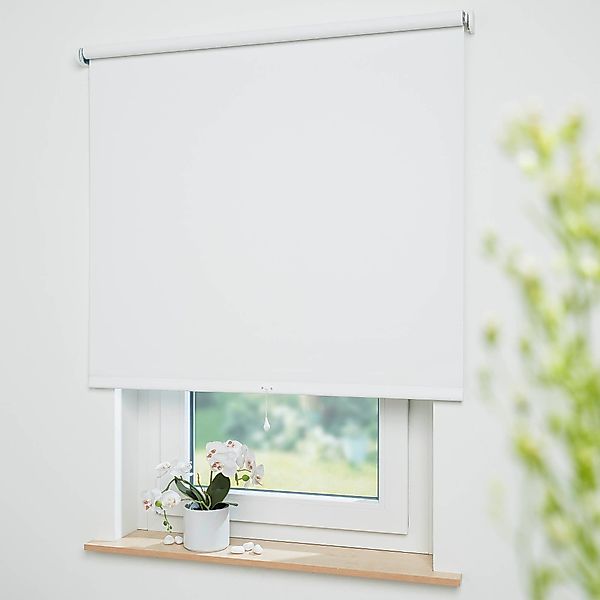 Springrollo Uni, Liedeco, verdunkelnd, mit Bohren, günstig online kaufen